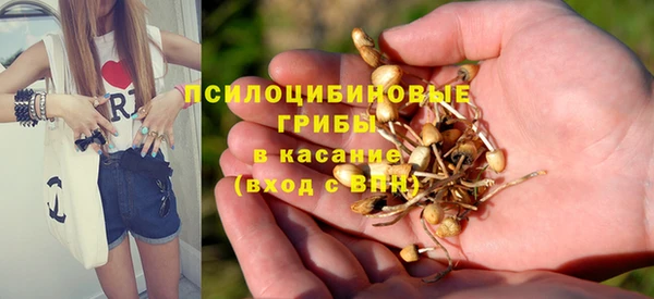 стафф Алексеевка